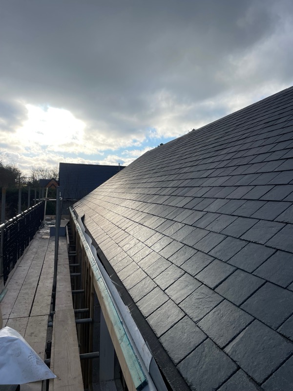 IMG_7510 Scott roof.jpg