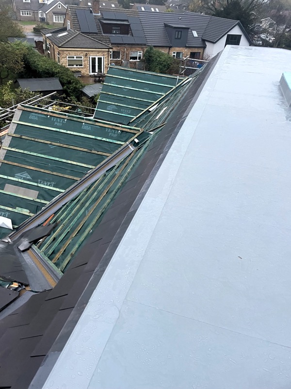 IMG_6697-Scott roof.jpg